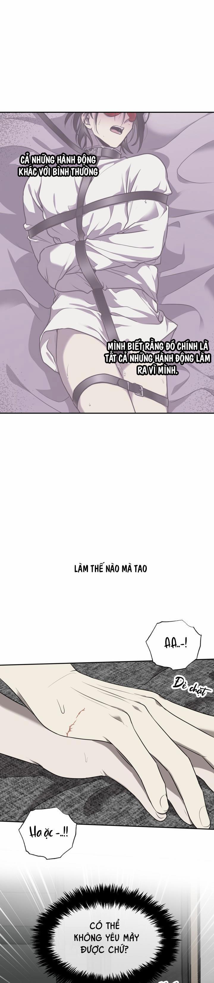 Dưỡng Thú Cưng 38 trang 15