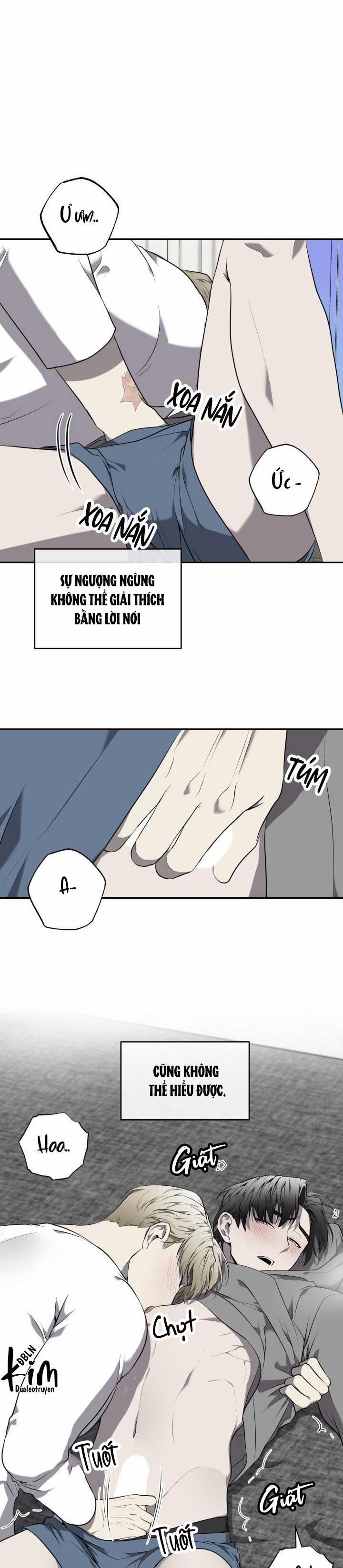 Dưỡng Thú Cưng 38 trang 8