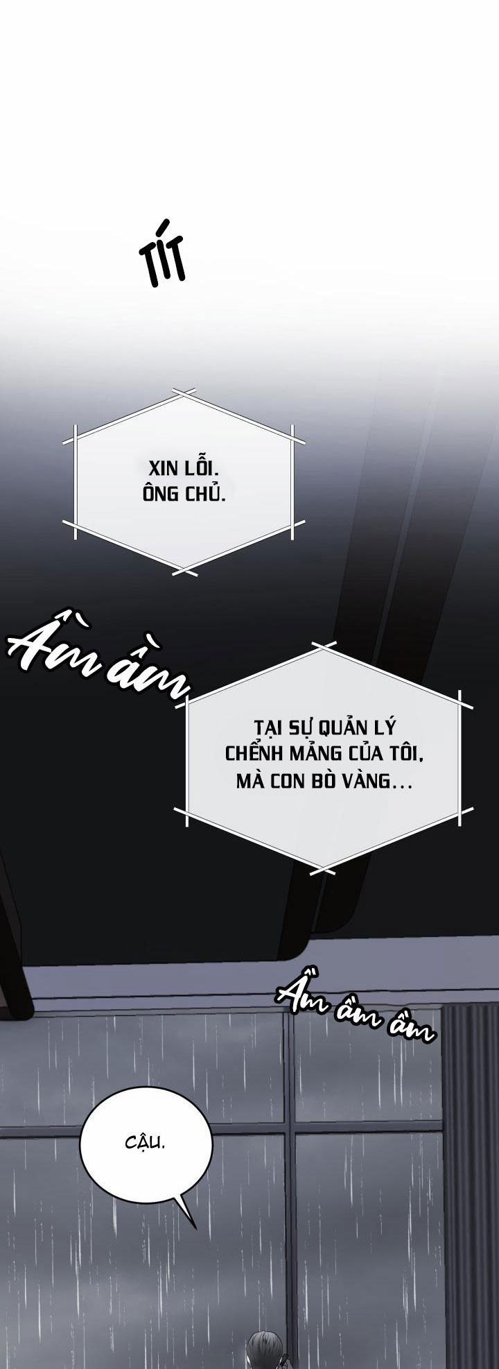 Dưỡng Thú Cưng 39 trang 28