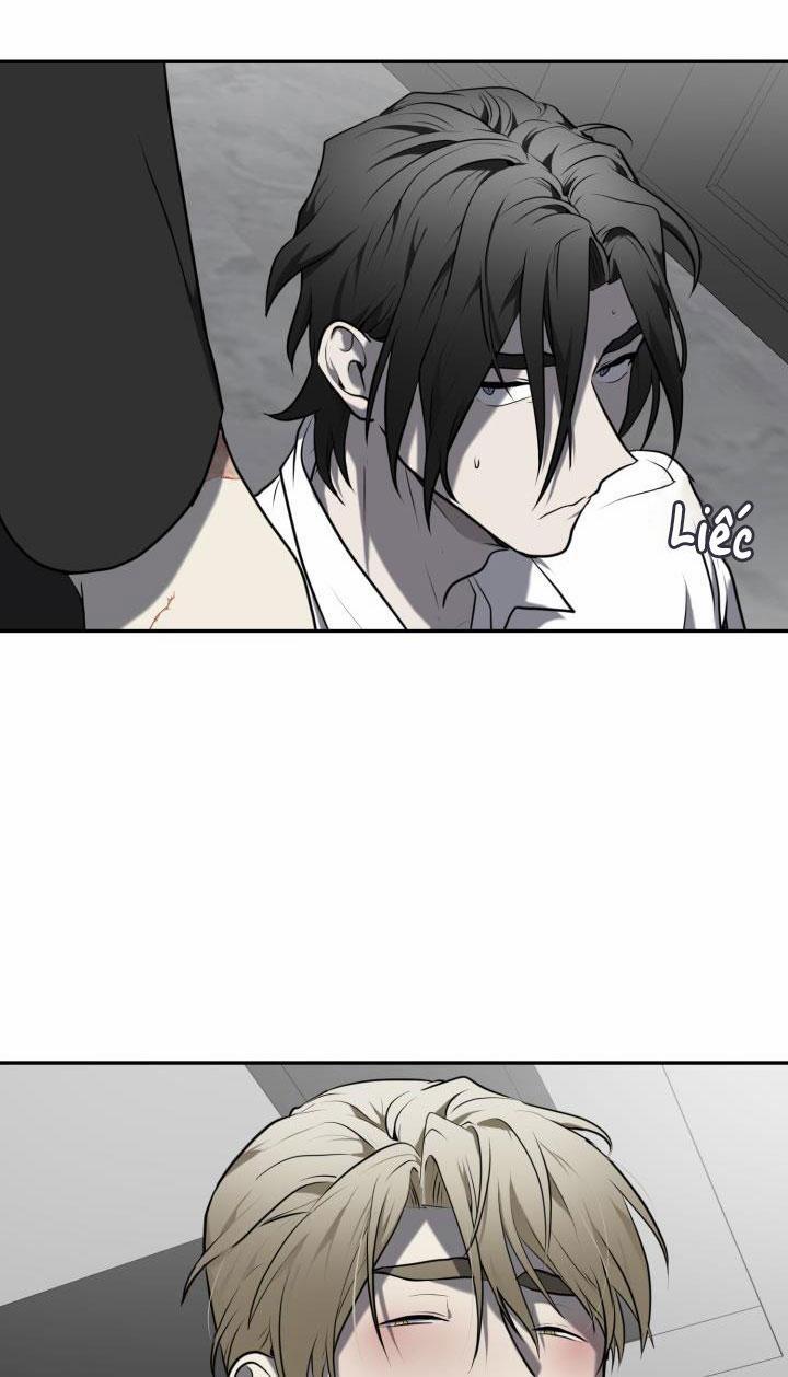 Dưỡng Thú Cưng 4 trang 13