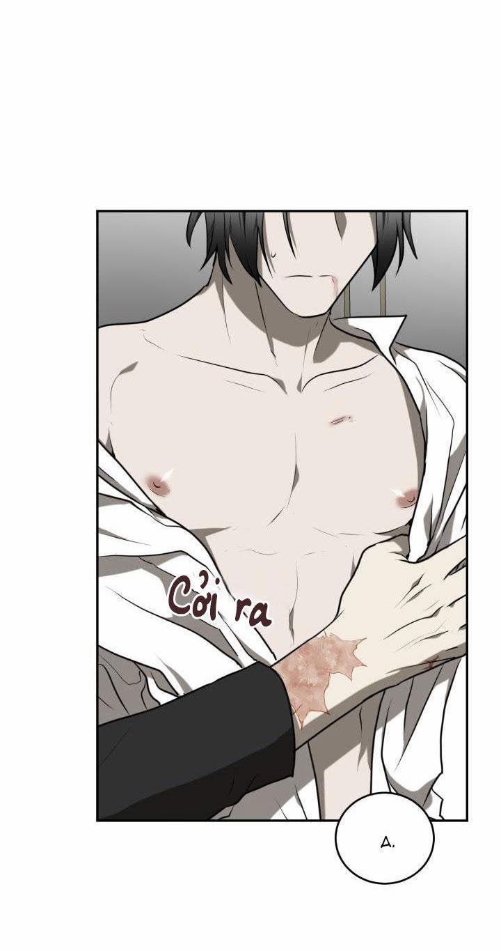 Dưỡng Thú Cưng 4 trang 24