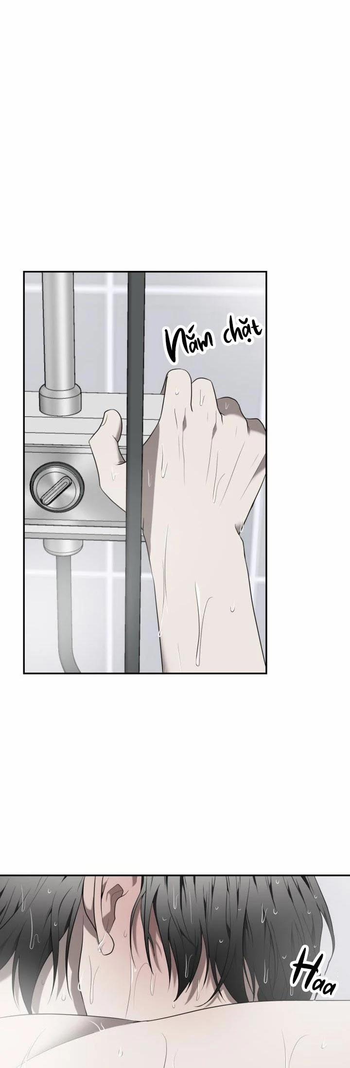 Dưỡng Thú Cưng 42 trang 2