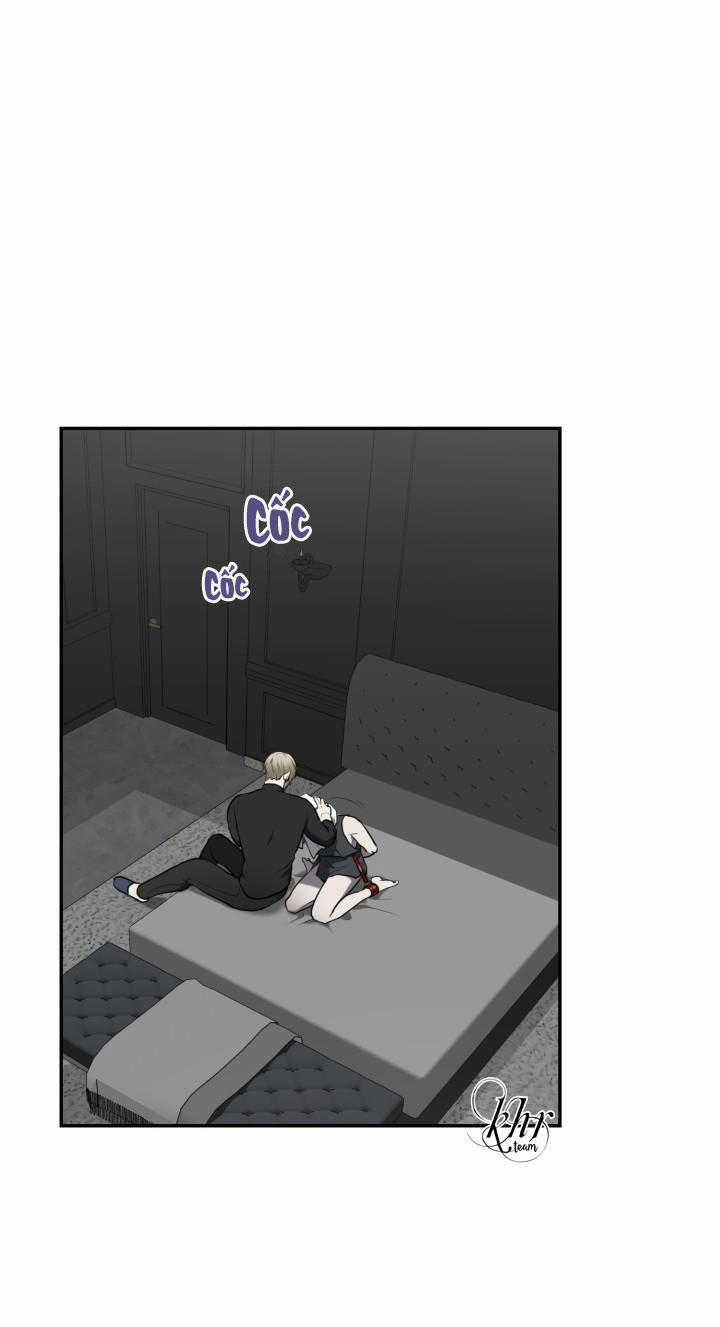 Dưỡng Thú Cưng 5 trang 2