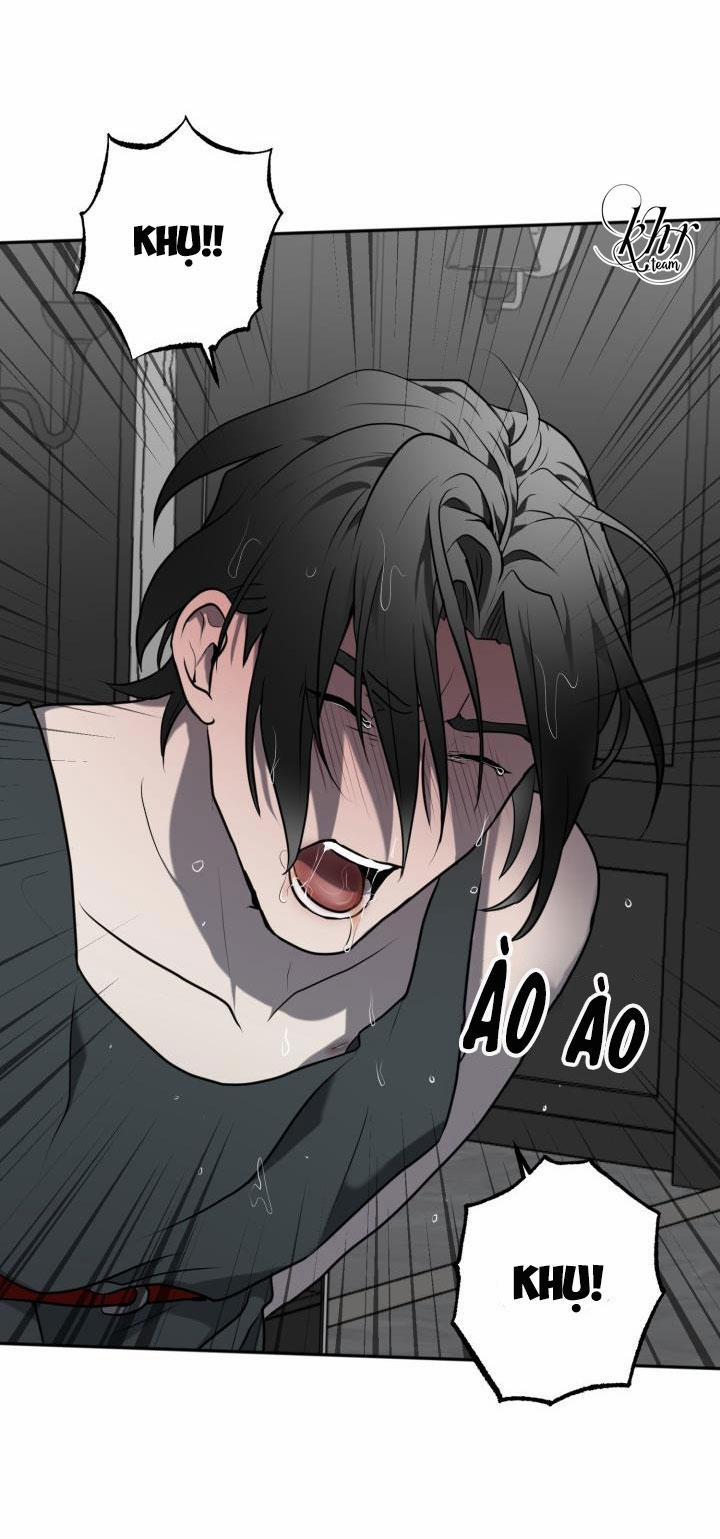 Dưỡng Thú Cưng 5 trang 28