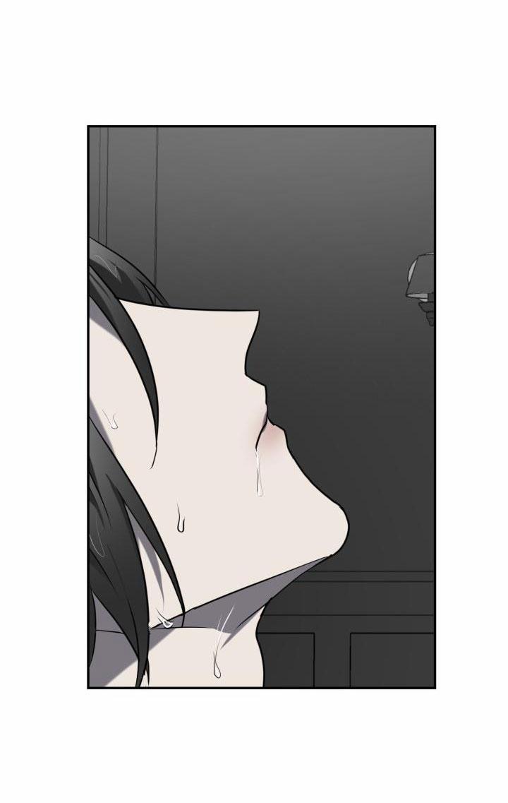 Dưỡng Thú Cưng 5 trang 42