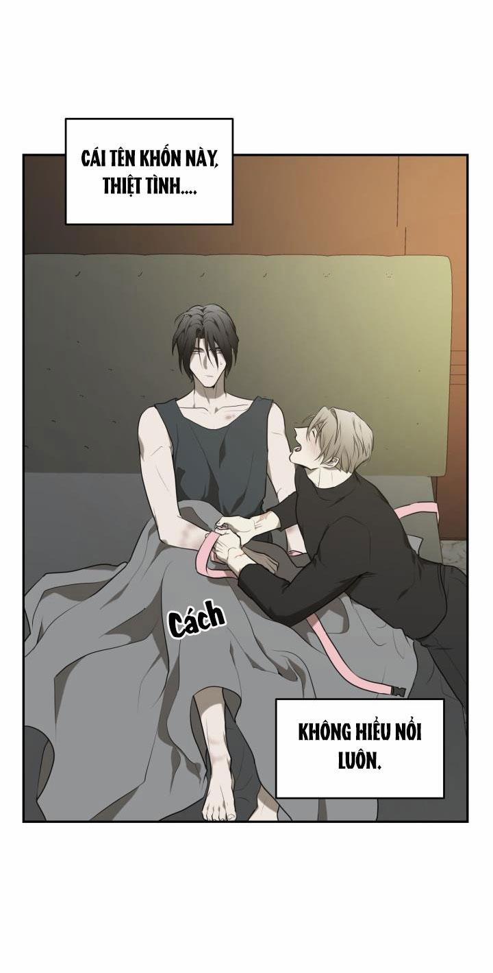 Dưỡng Thú Cưng 6 trang 29