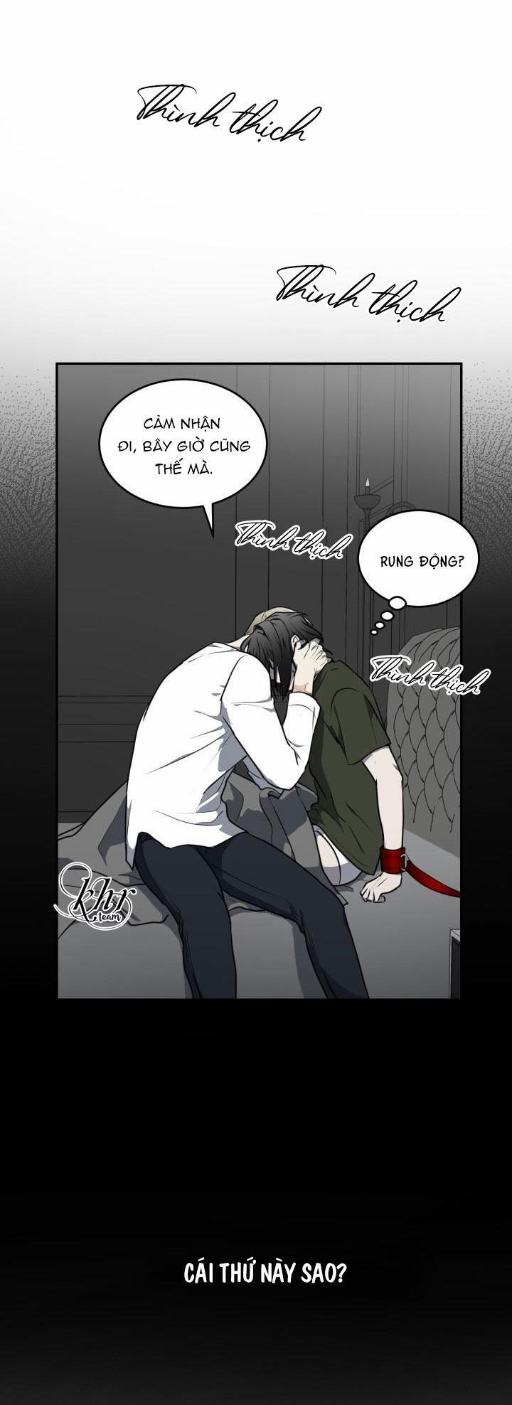 Dưỡng Thú Cưng 7 trang 26