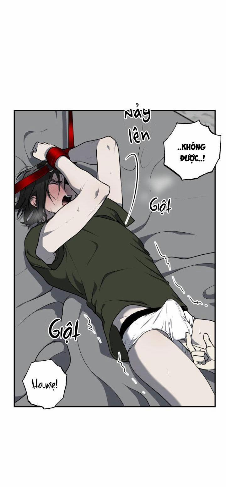 Dưỡng Thú Cưng 8 trang 16