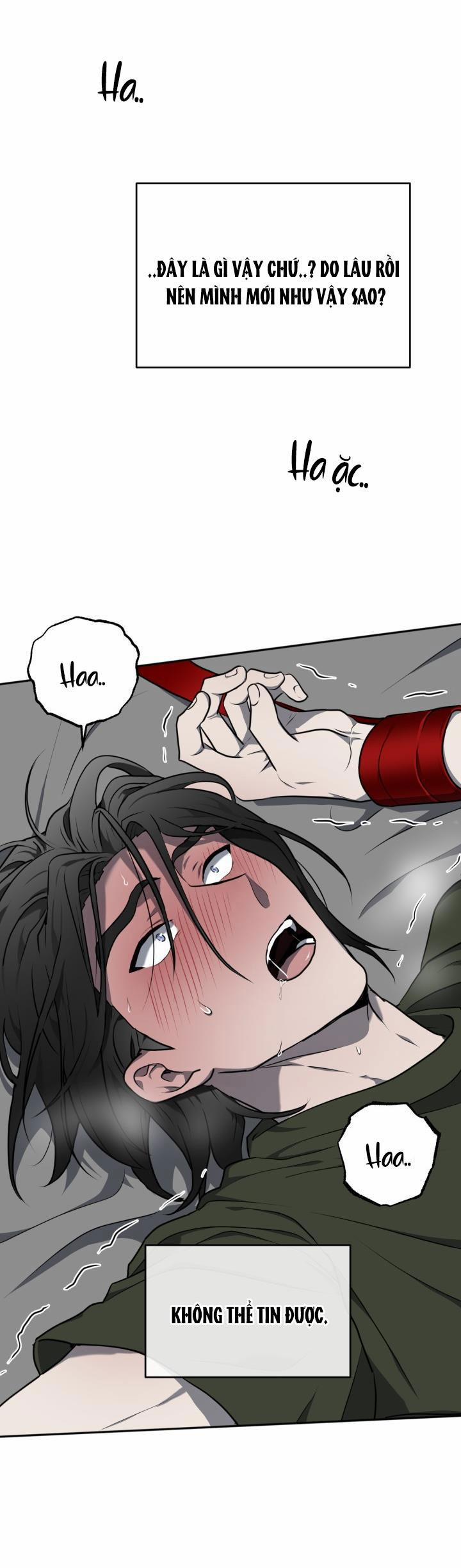 Dưỡng Thú Cưng 8 trang 32