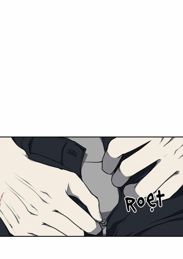 Dưỡng Thú Cưng 8 trang 44