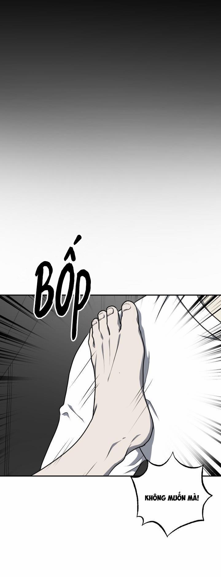 Dưỡng Thú Cưng 8 trang 9