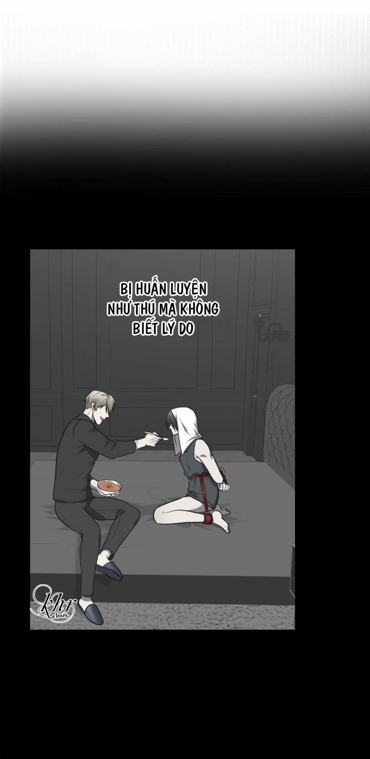 Dưỡng Thú Cưng 9 trang 38