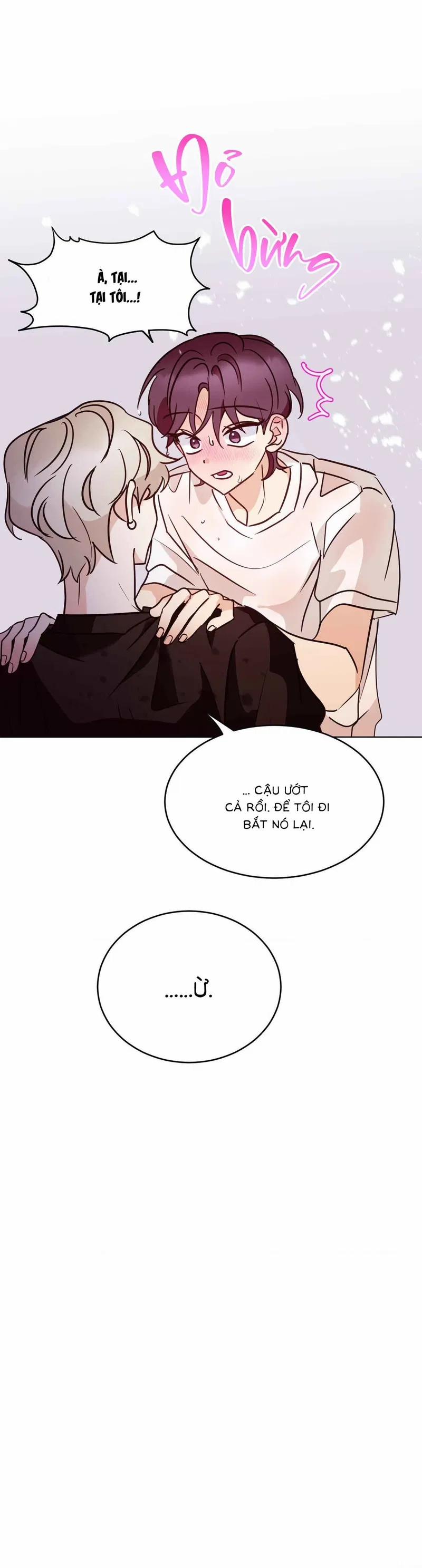 Duyên Nợ Oái Oăm 19 trang 7