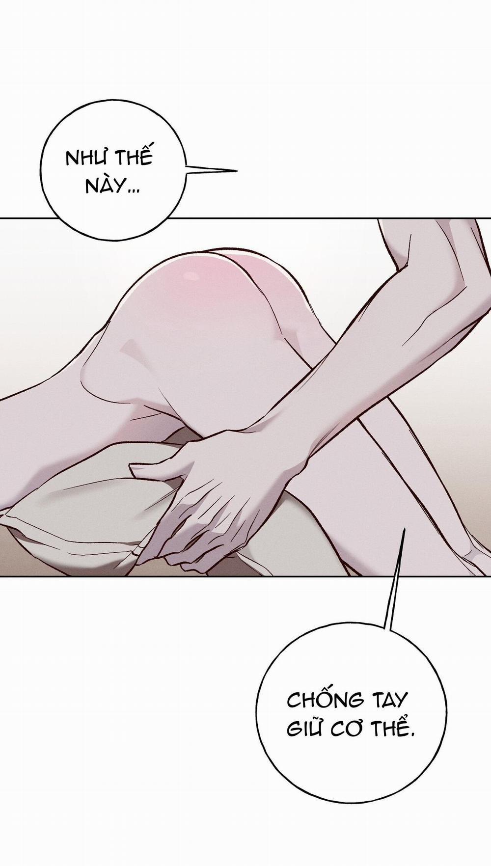 ❋ Ebony Castle ❋ 10 0 trang 24