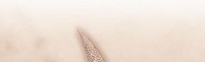 Em Ấy Muốn Trở Thành Chồng Của Tôi 33.5 trang 65