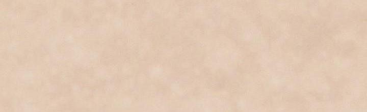 Em Ấy Muốn Trở Thành Chồng Của Tôi 33.5 trang 87