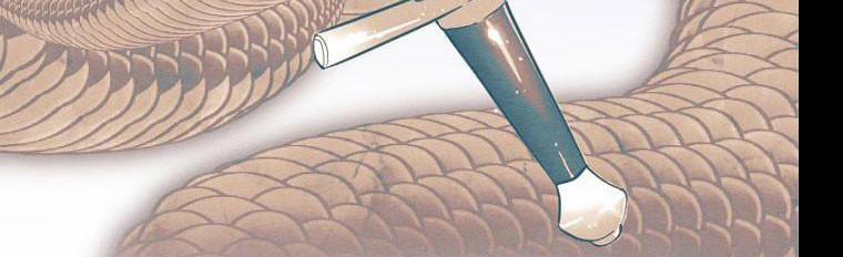 Em Ấy Muốn Trở Thành Chồng Của Tôi 33 trang 14