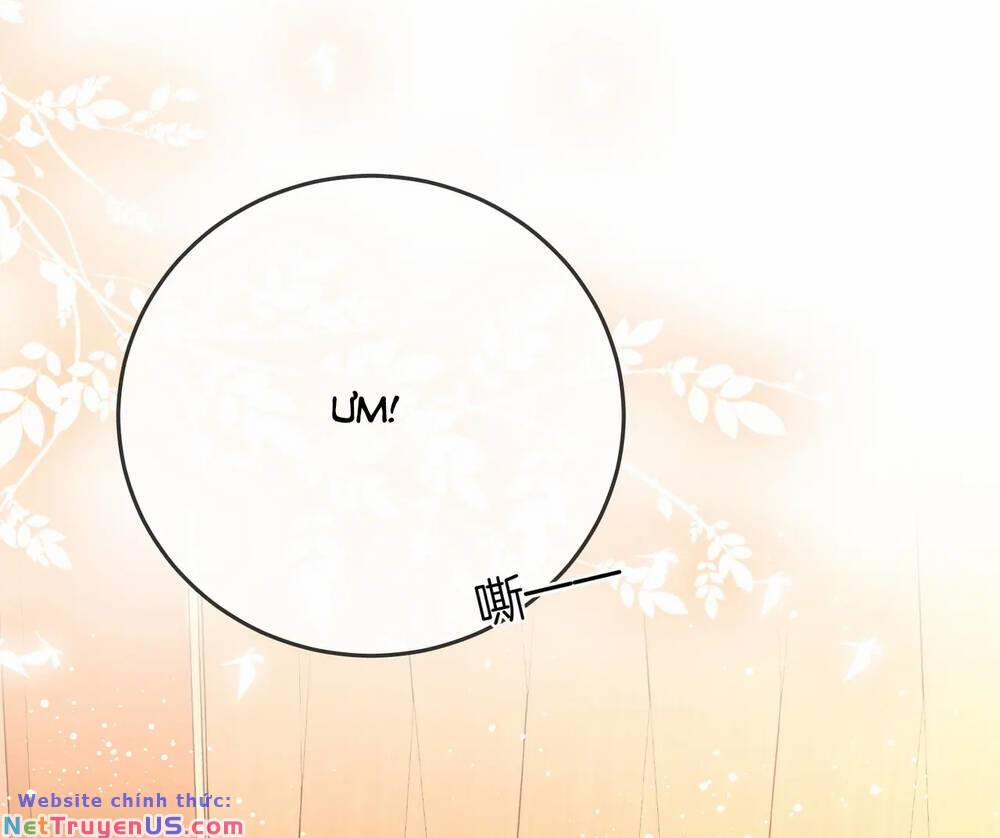 Em Chỉ Có Thể Là Của Tôi 68 trang 13