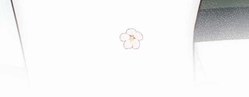 Em Đến Cùng Cơn Gió 24 trang 75