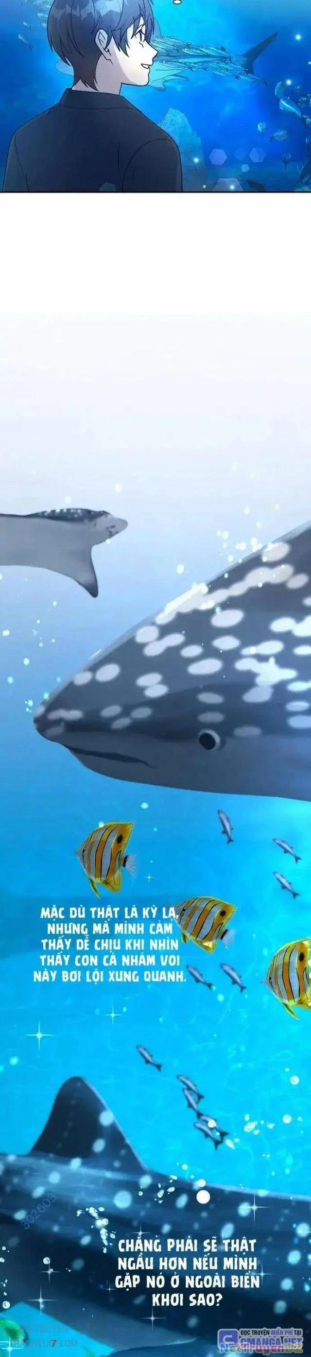 Em Gái Tôi Là Một Thiên Tài 16 trang 20