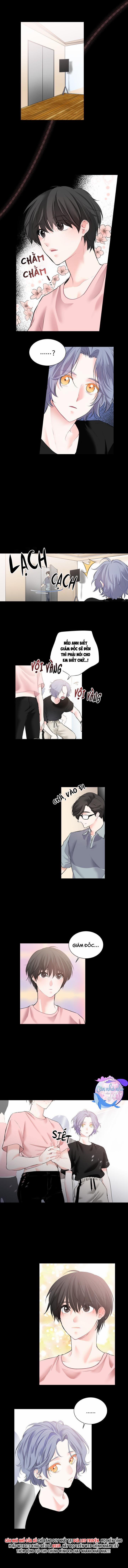 Em Là Ánh Sao 7 trang 5