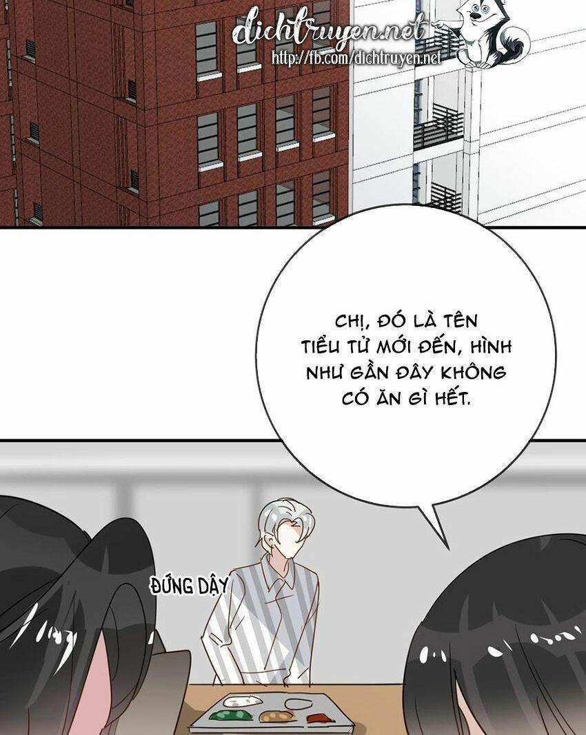 Em Là Bạc Hà Mèo Của Tôi 0 (END) trang 1