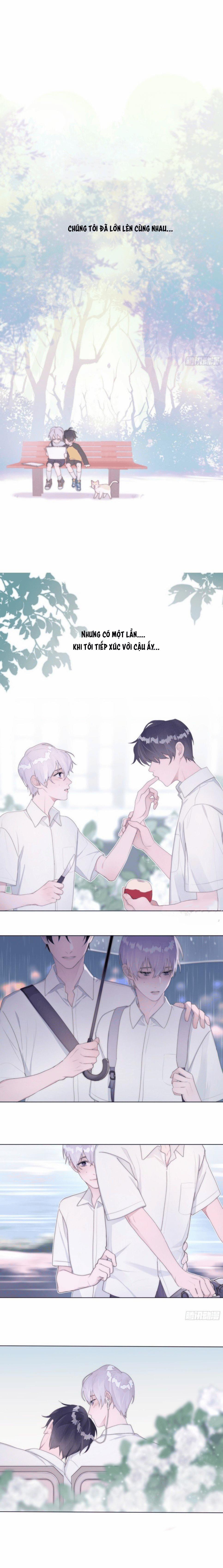 Em Là Quả Táo Trong Mắt Tôi 0 trang 2