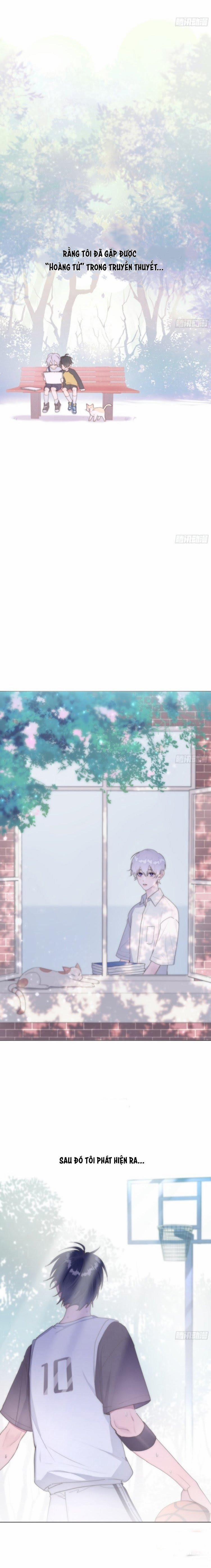 Em Là Quả Táo Trong Mắt Tôi 1 trang 2