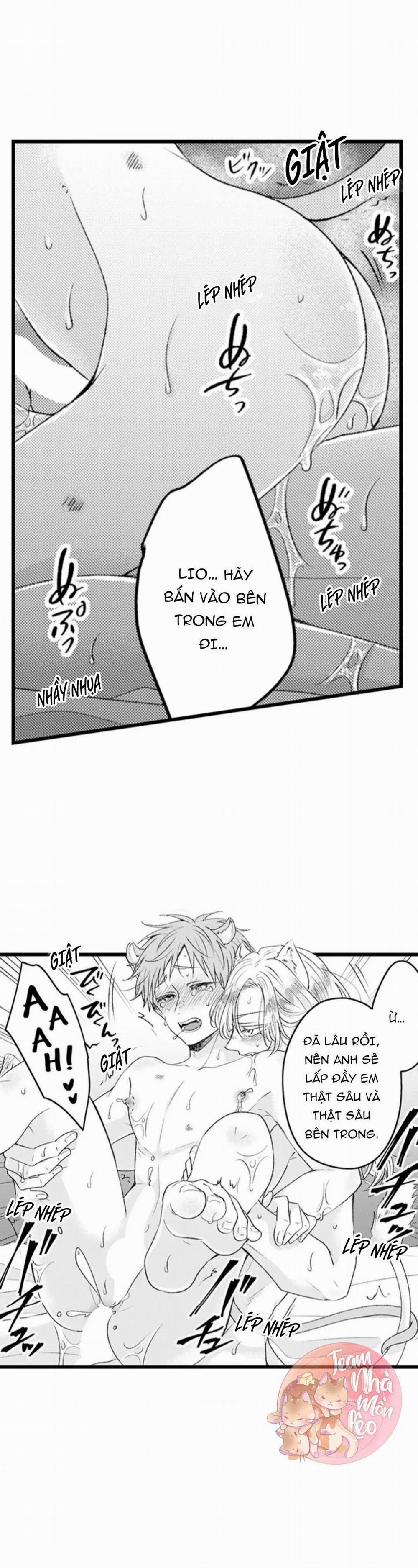 Em Muốn Được Yêu 38 trang 2