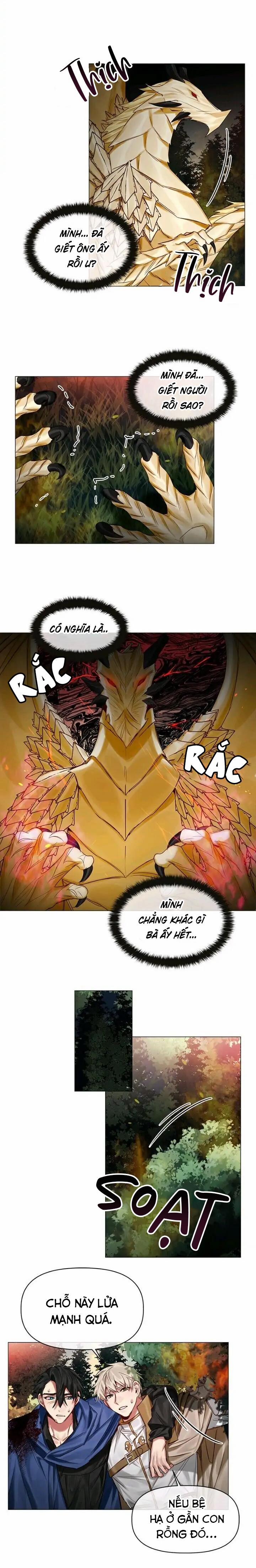 [End] Chàng Hiệp Sĩ Và Rồng Vàng 27 0 27 trang 8