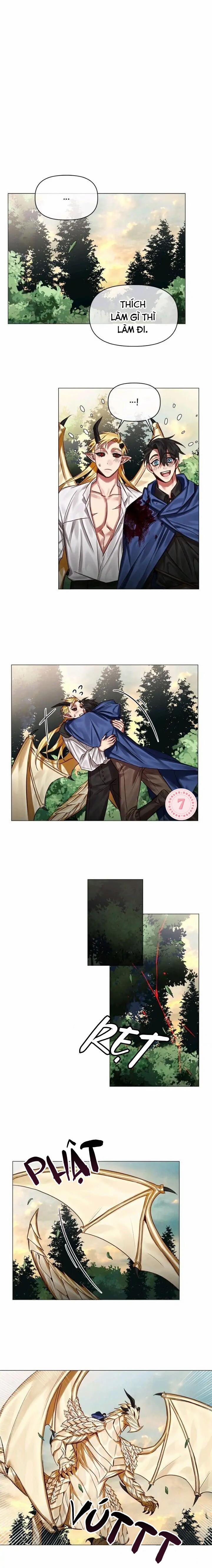 [End] Chàng Hiệp Sĩ Và Rồng Vàng 28 0 28 trang 10