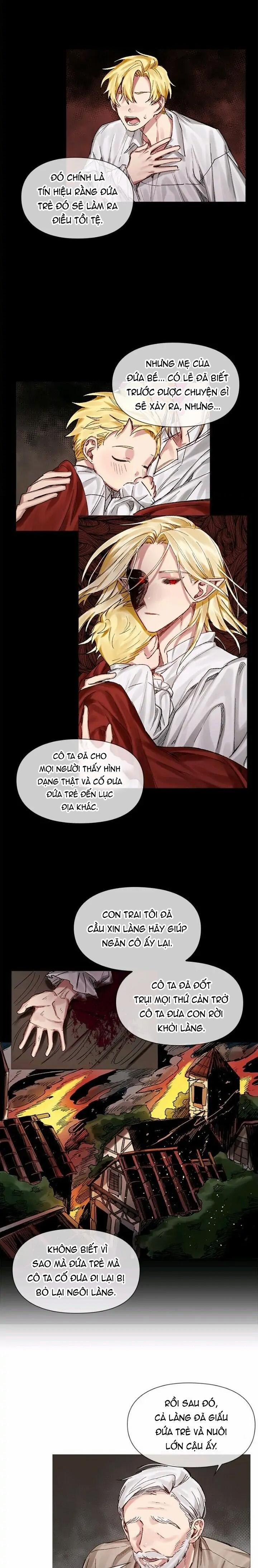 [End] Chàng Hiệp Sĩ Và Rồng Vàng 5 0 5 trang 6