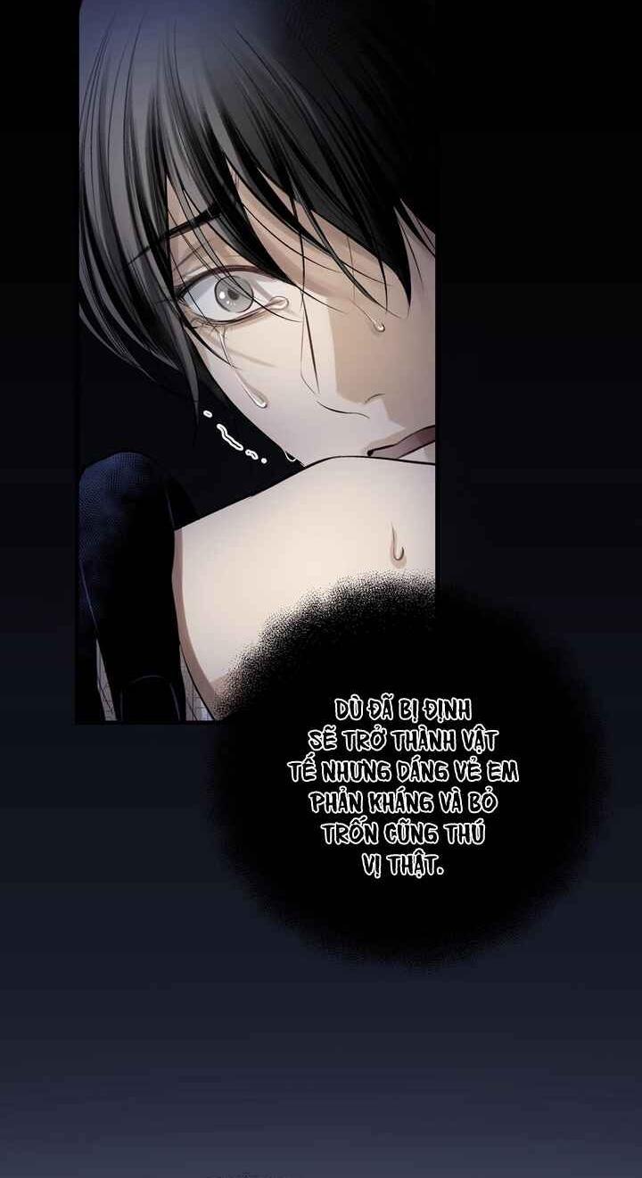 [END] HƠI THỞ CỦA CỪU 5 END trang 34