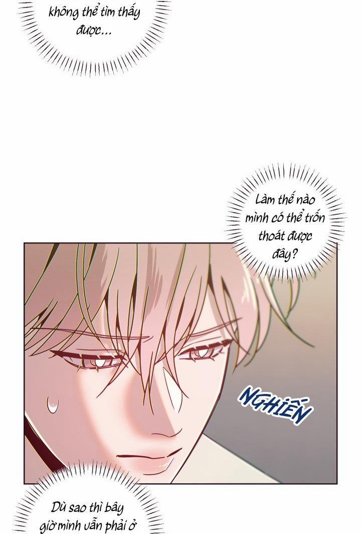 (END SS2) SỤP ĐỔ 41 trang 2