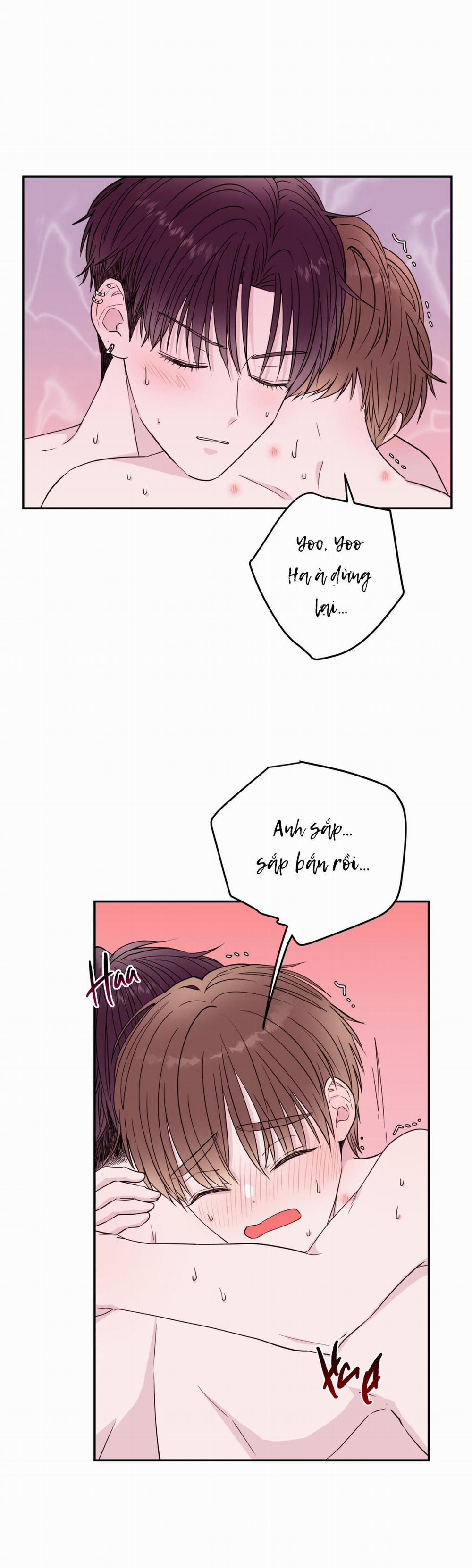 (END) TÊN EM VỢ NGUY HIỂM CỦA TÔI 18 trang 2