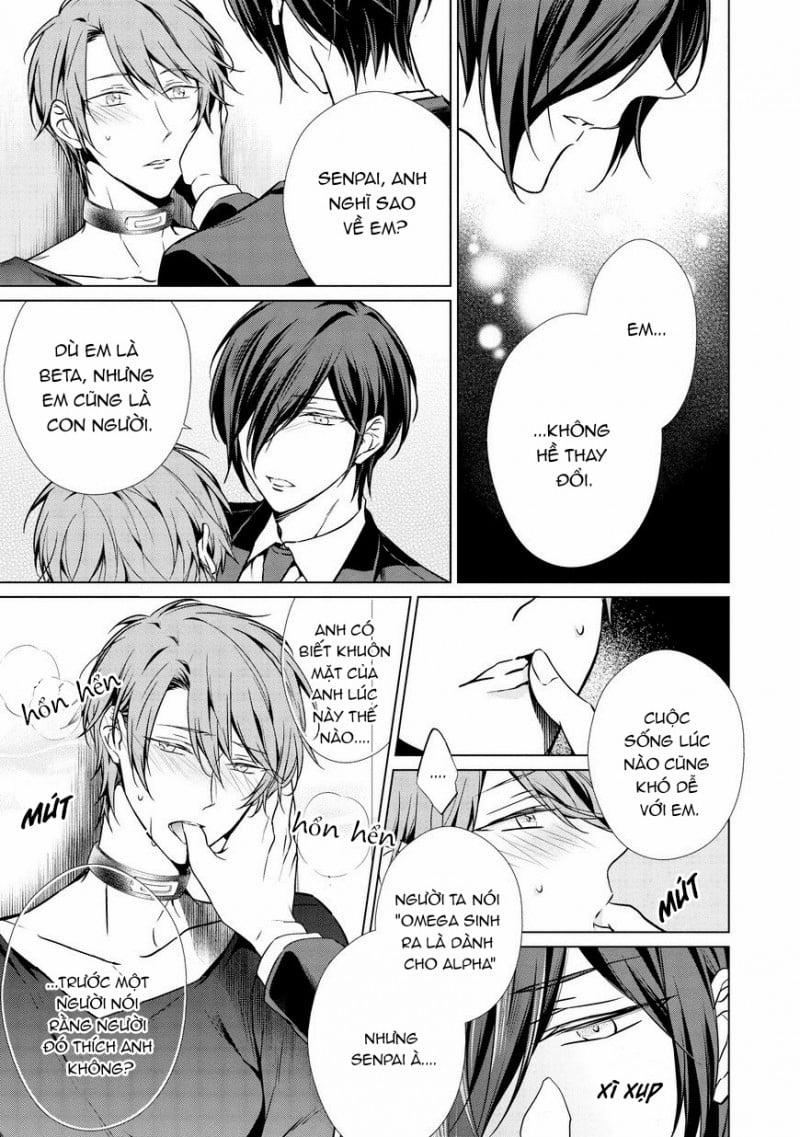 Erito Omega Chìm Đắm Trong Màn Đêm 10 trang 7