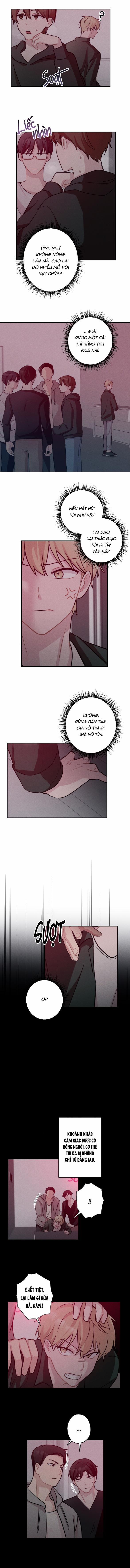 ESCAPE ROOM 4 trang 5