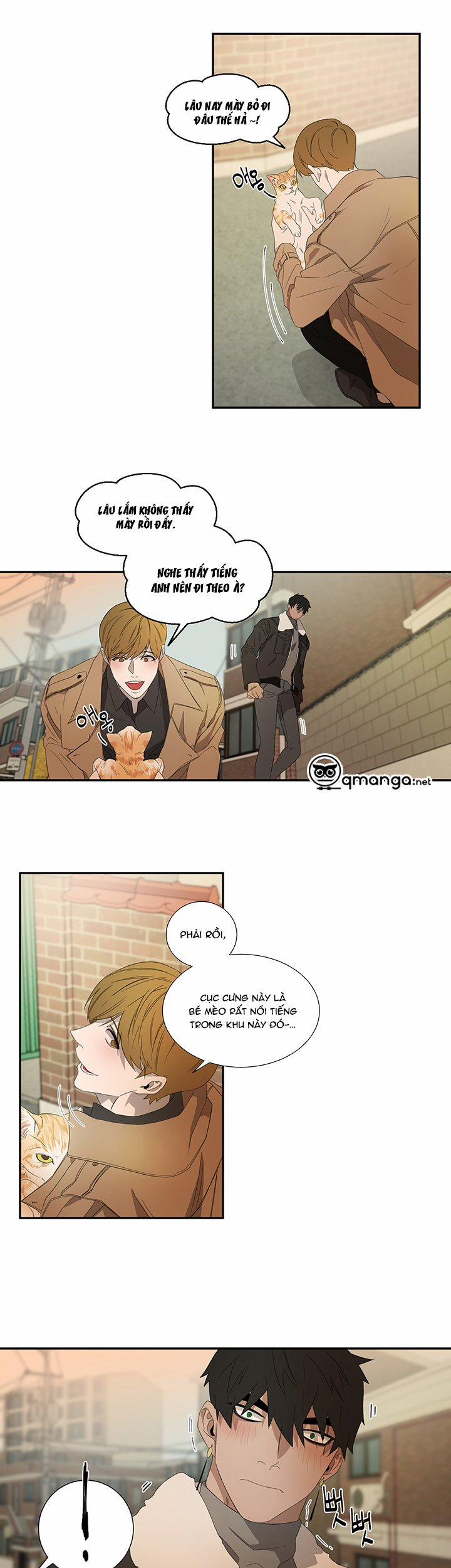 Ever Green 10 trang 17