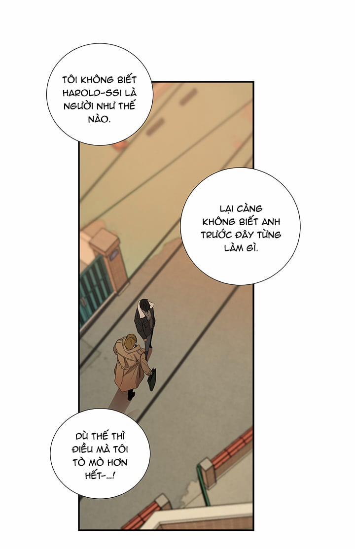 Ever Green 11 trang 13