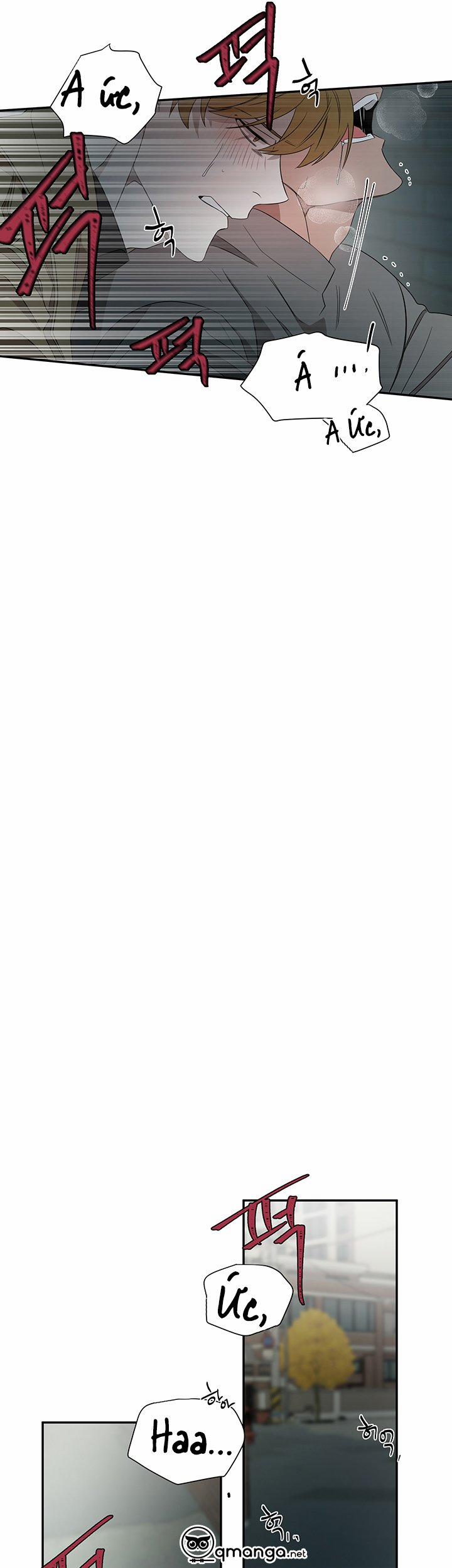 Ever Green 12 trang 12