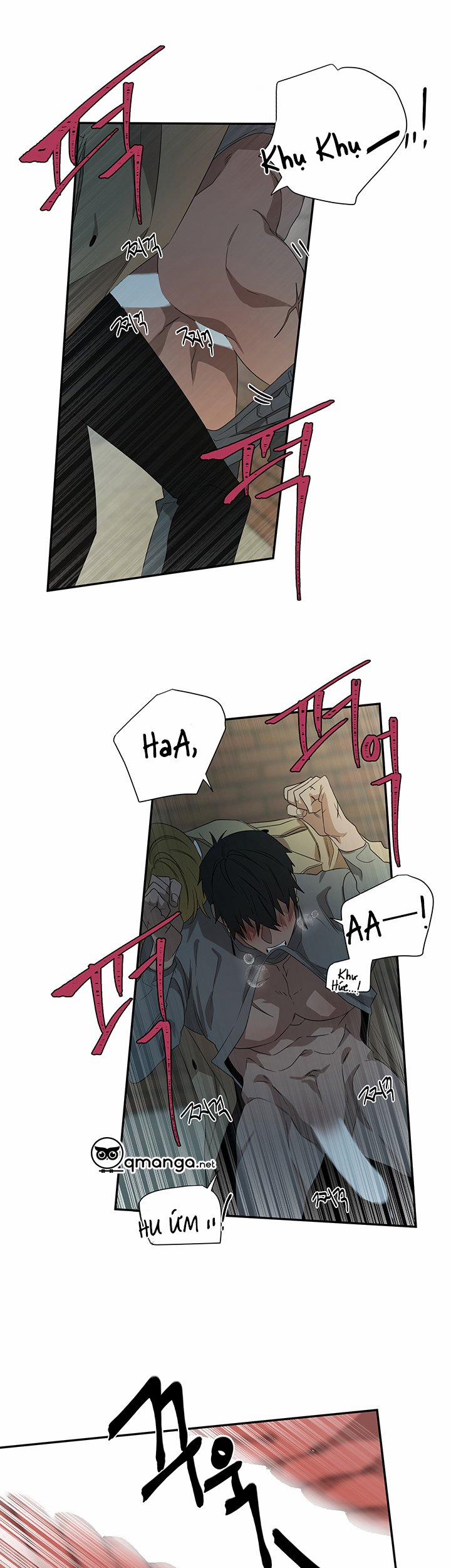 Ever Green 12 trang 14