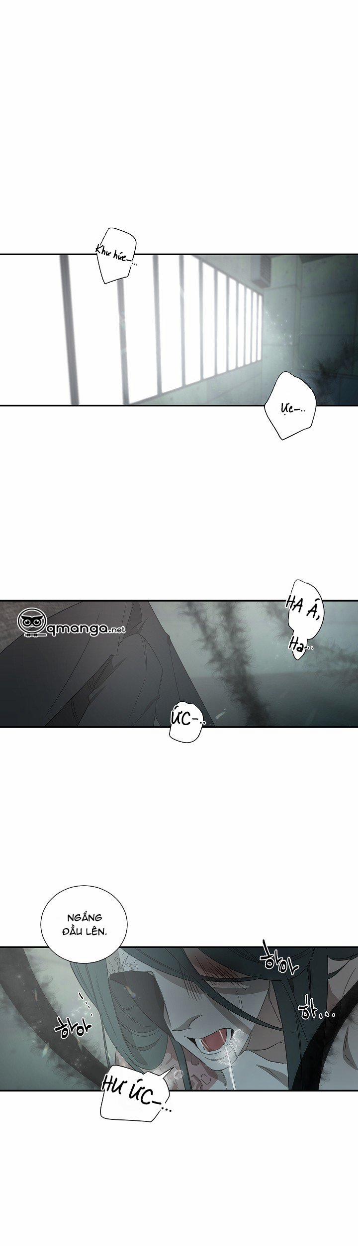 Ever Green 16 trang 5