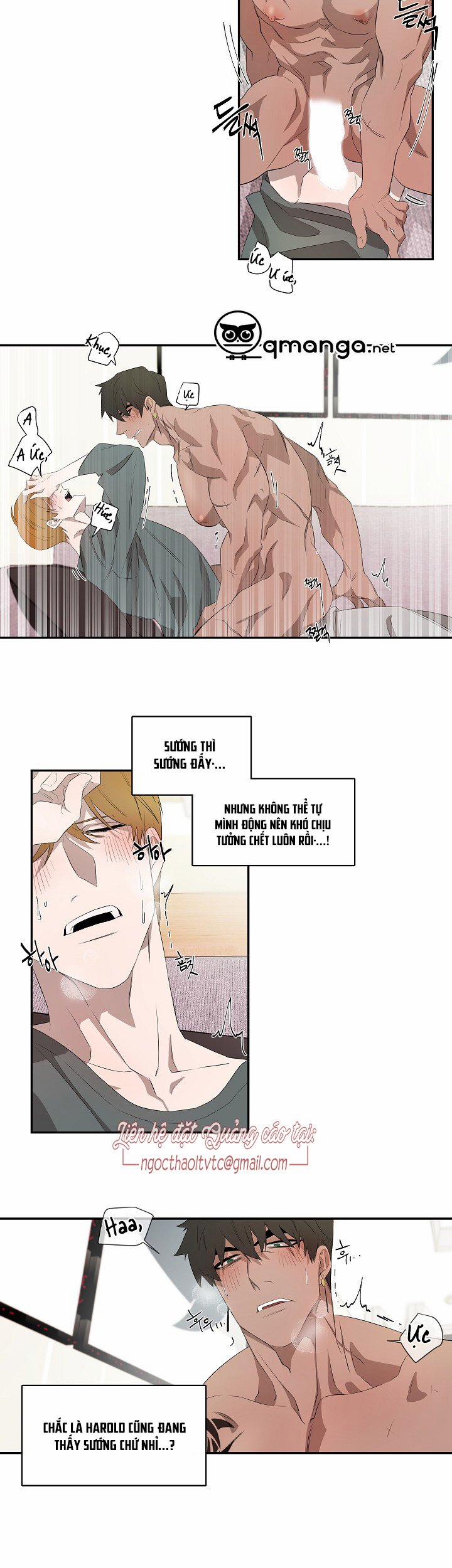 Ever Green 19 trang 14