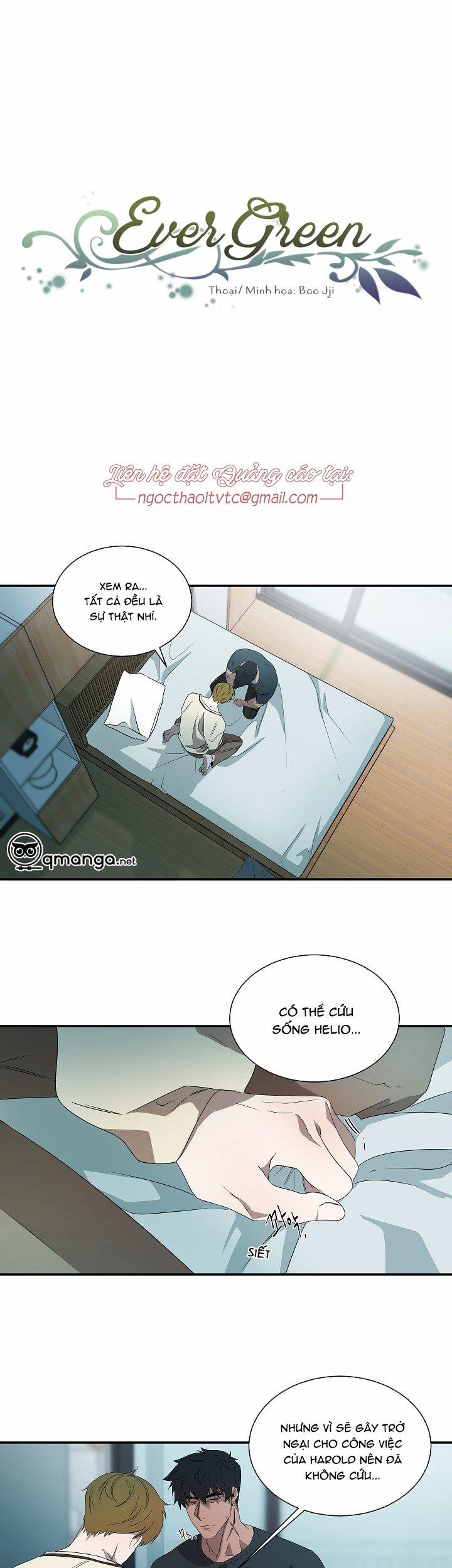 Ever Green 35 trang 0