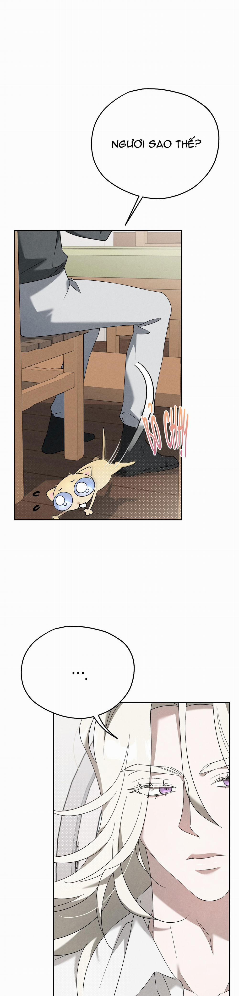 Extra Virgin 6 trang 8