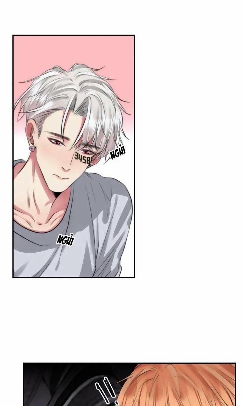 Fan Biến Thái Và Thần Tượng Xinh Đẹp 112 trang 4