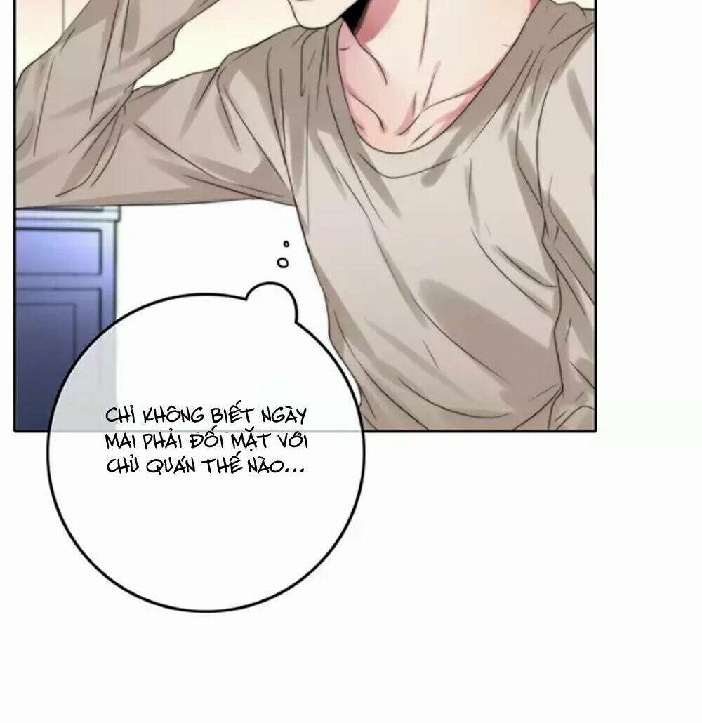 Fan Biến Thái Và Thần Tượng Xinh Đẹp 34 trang 5