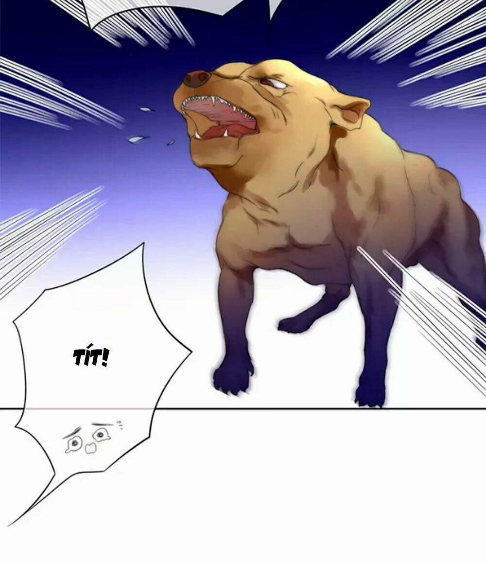 Fan Biến Thái Và Thần Tượng Xinh Đẹp 35 trang 31