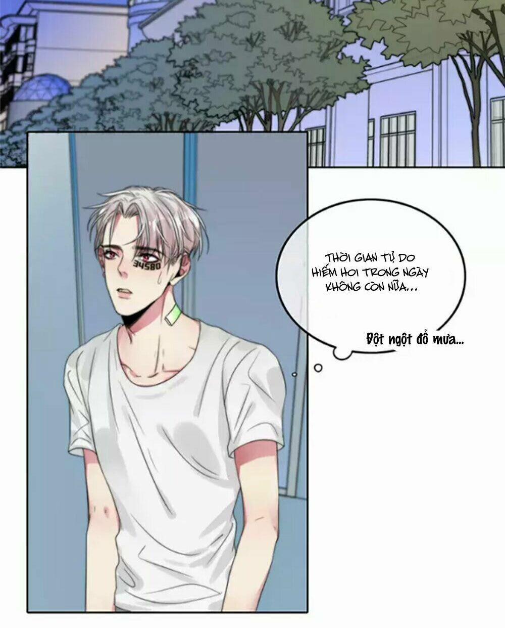 Fan Biến Thái Và Thần Tượng Xinh Đẹp 42 trang 1