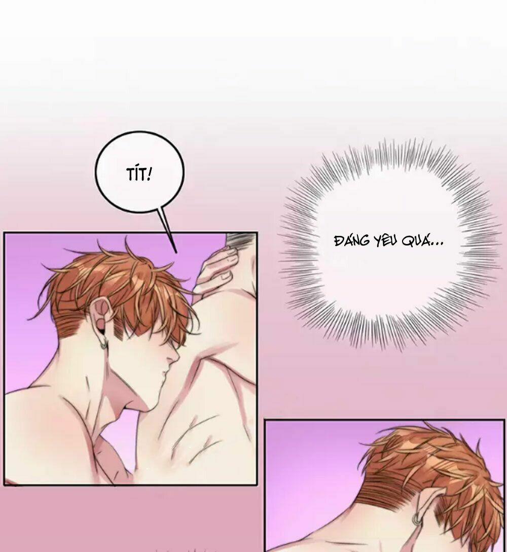 Fan Biến Thái Và Thần Tượng Xinh Đẹp 46 trang 10